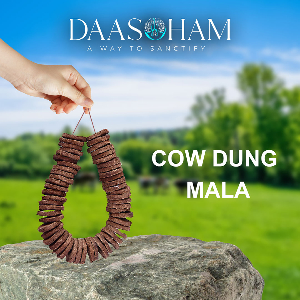 Dry Cow Dung Cake