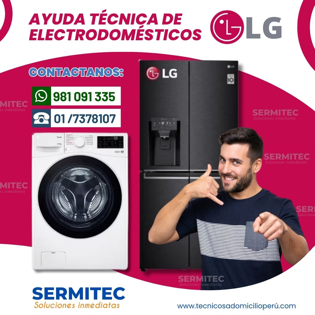  DISPONIBLE REPARACION ELECTRODOMESTICOS LG 981 091 335 - San Isidro