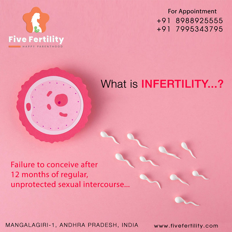  Best Fertility Hospital In Vijayawada